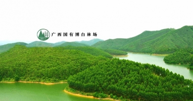 广西国有博白林场与半岛官方网站（中国）有限公司林业全程机械化示范基地合作协议成功签署